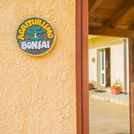 سانتا ماريا لا بالما Bonsai B&B Alghero المظهر الخارجي الصورة
