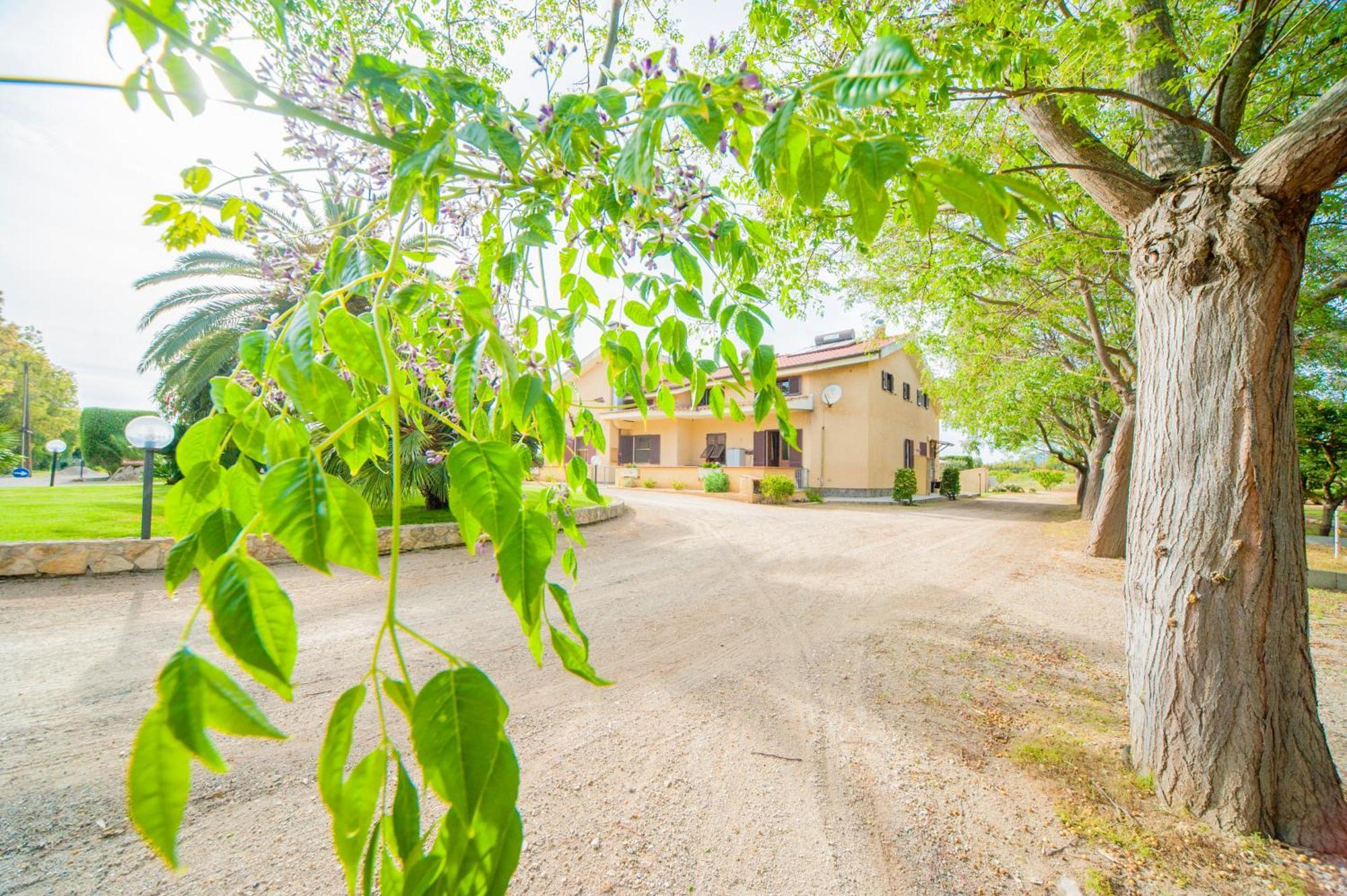 سانتا ماريا لا بالما Bonsai B&B Alghero المظهر الخارجي الصورة